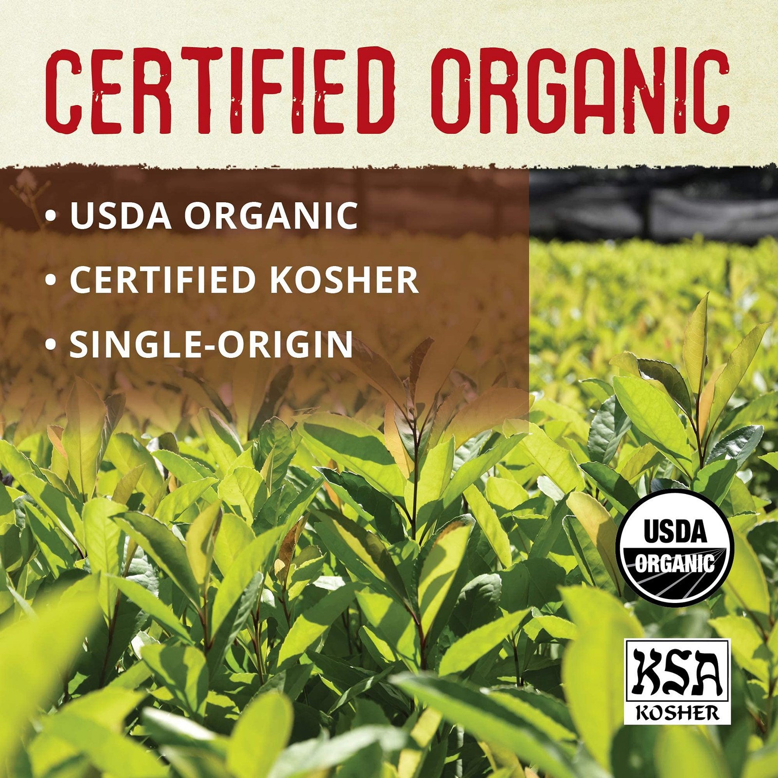 ECOTEAS Organic Yerba Mate Loose Leaf Tea – Unsmoked (Air 1 Pound (Pack of 1)