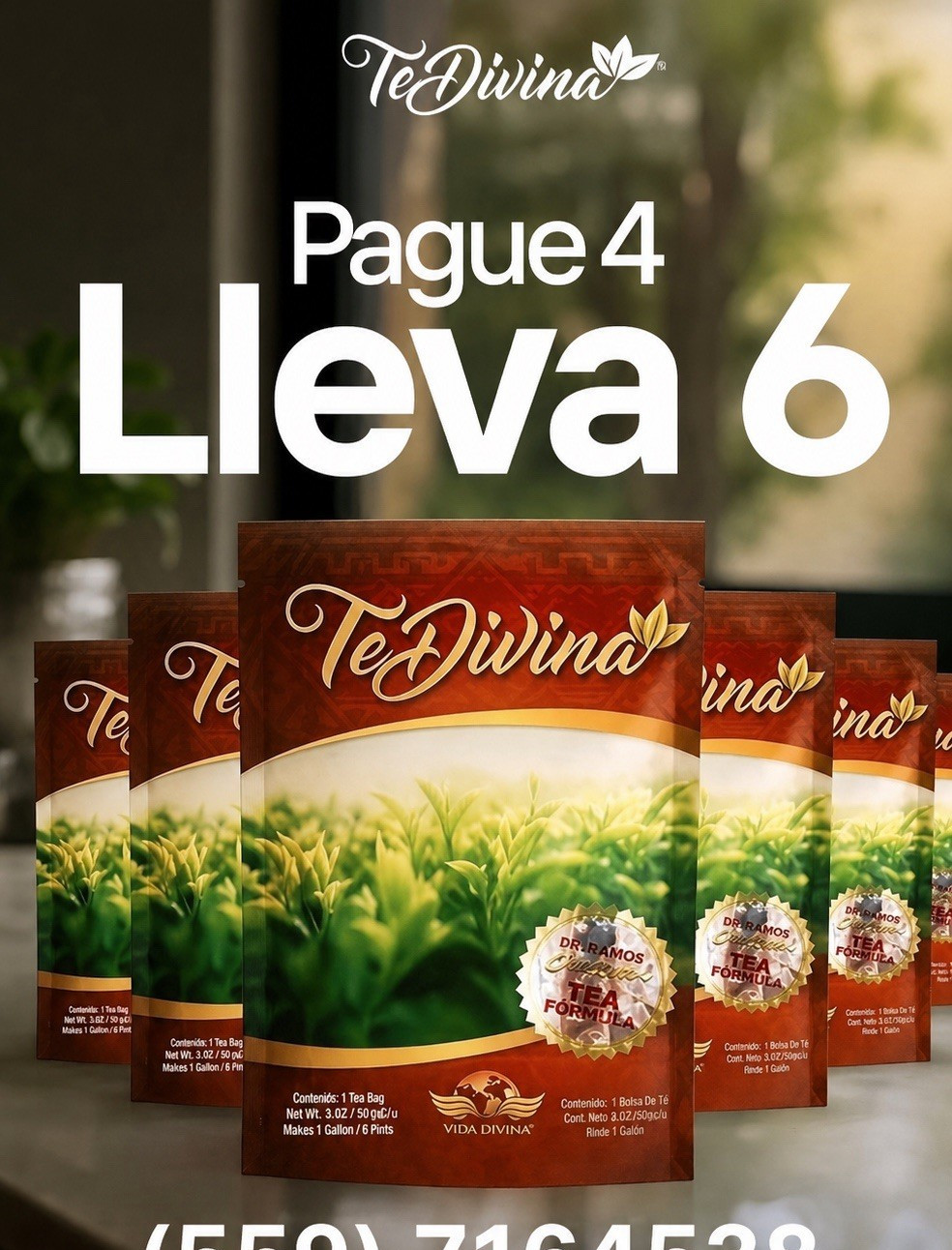 TeDivina Tea & Infusion Bagged 3.2 oz 6 Pack Single Serving Pantry Item