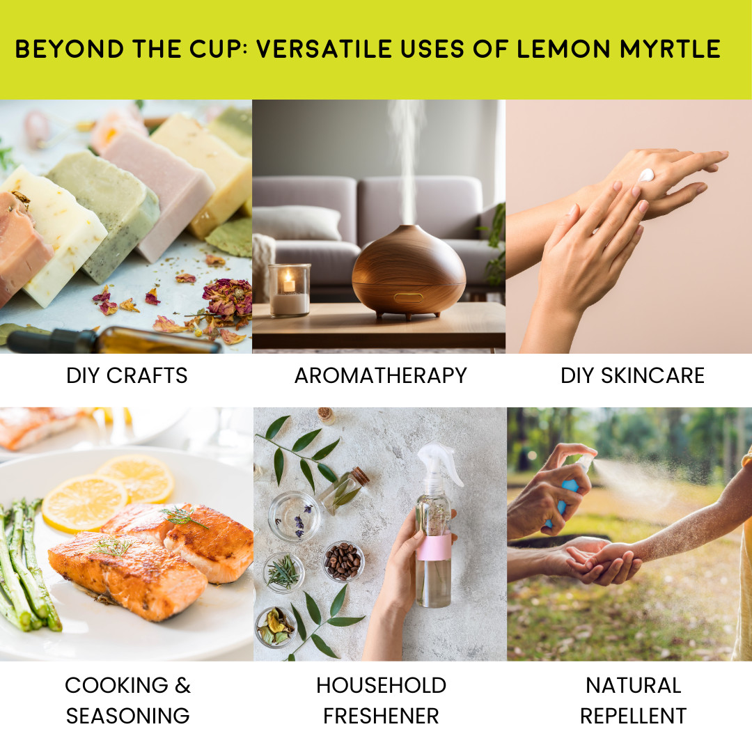 Organic Lemon Myrtle – Cut & Sifted | Aromatic & Versatile Citrus Herb