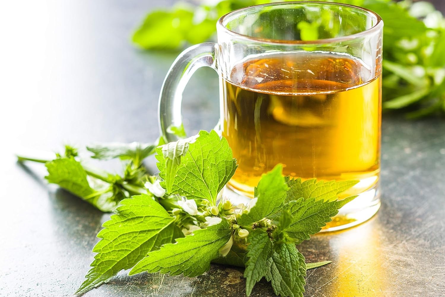 Nettle Tea – 8Oz REAL WILD HARVEST | 100% USDA Certified ORGANIC | Loose Leaf…