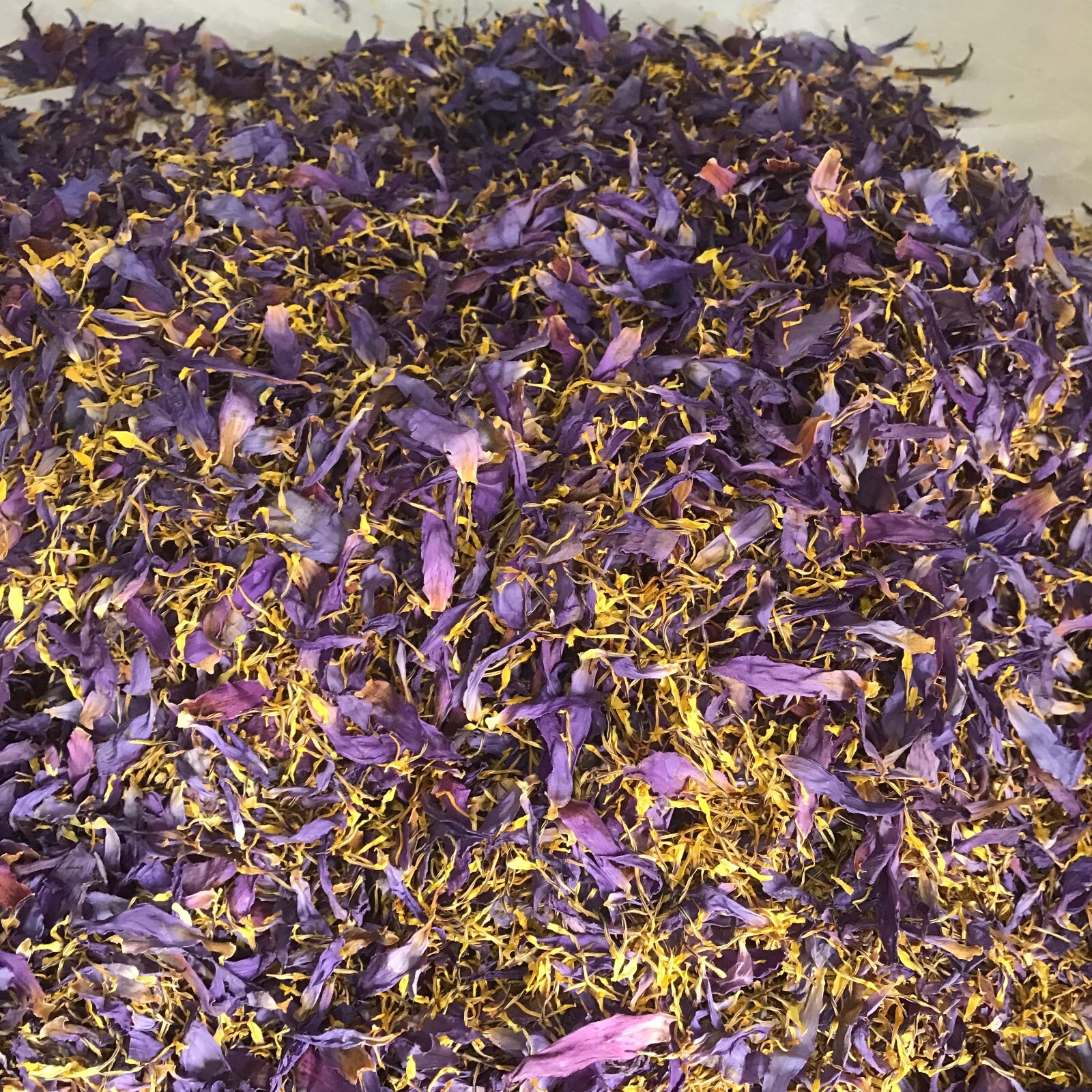 Dried Blue Lotus 50g |Petal & Stamen| Hand Pick Flowers Organic High Quality Tea