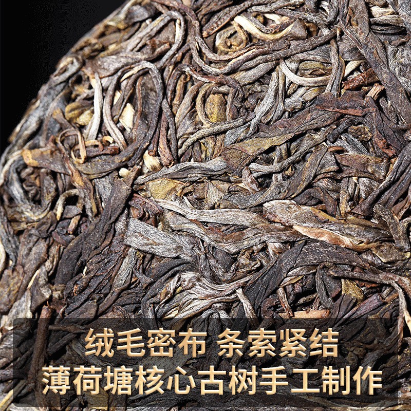357g Yunnan Yiwu Ancient Tree 2023 Spring Tea Bohetang Pu’er Tea Raw Tea Cake