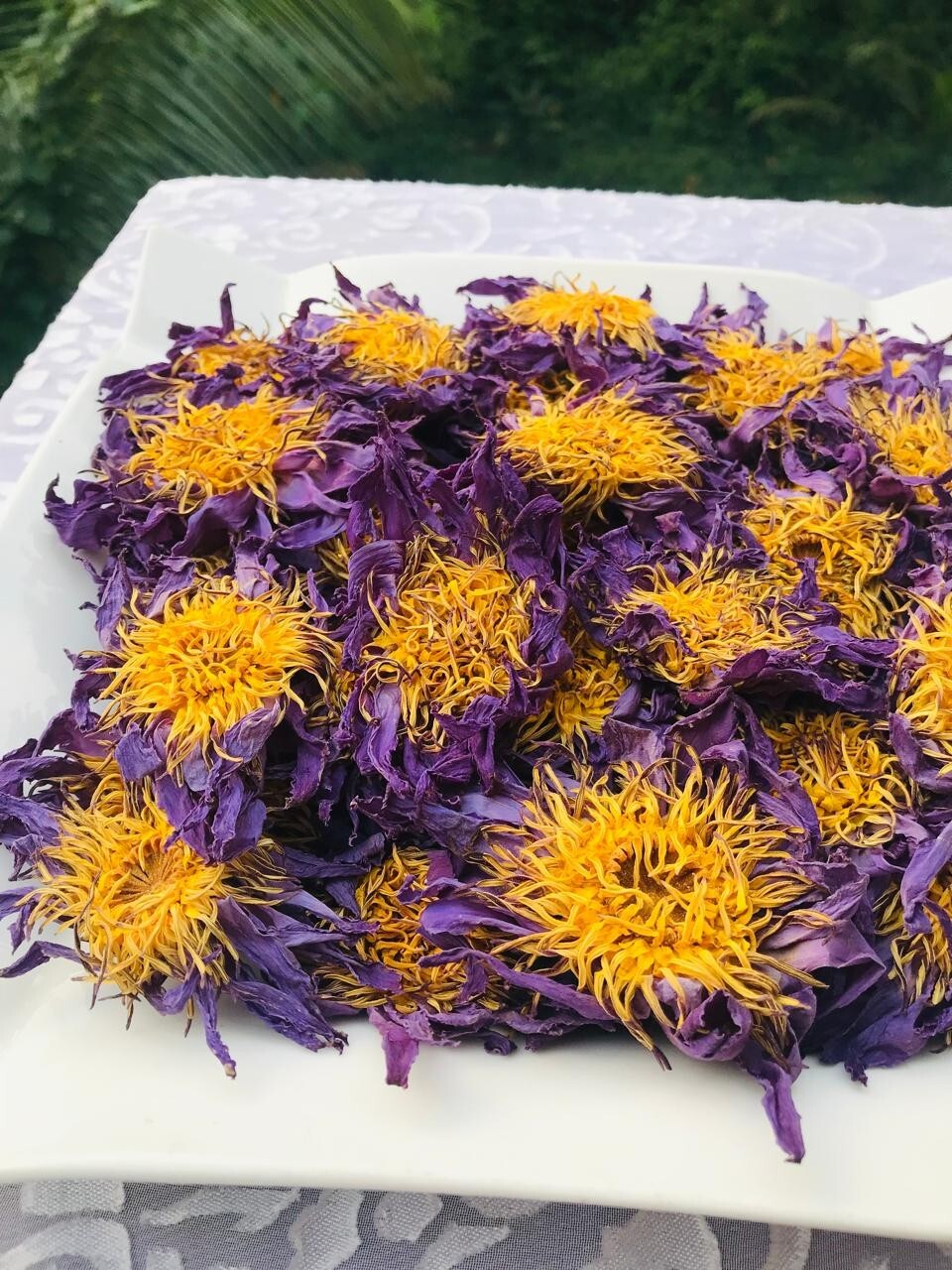 Ceylon Dried Blue Lotus 50g Nymphaea Caerulea 100% Hand Picked Flower Herbal Tea