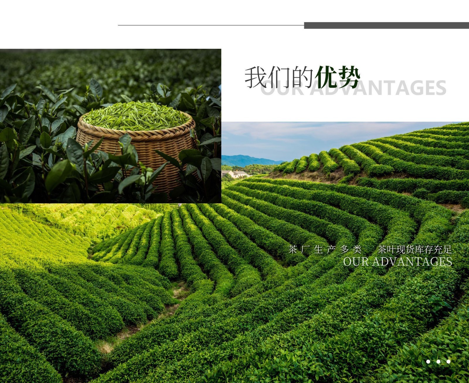 1000g Fujian Wuyi Jinjunmei Eyebrow Black Tea Chinese Loose Leaf – Black Buds