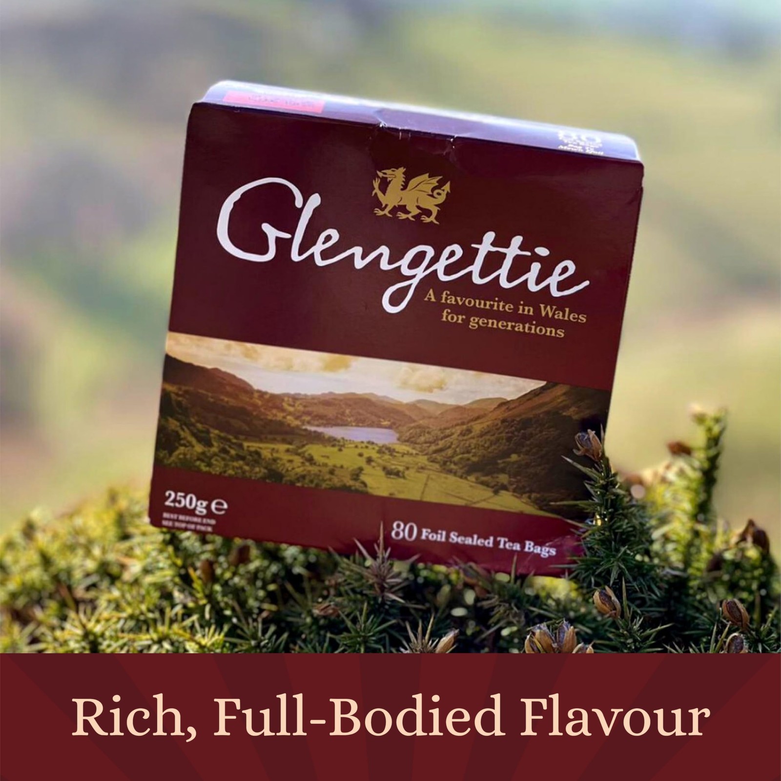Glengettie Foil Tea Bags 80 Count Box 250g