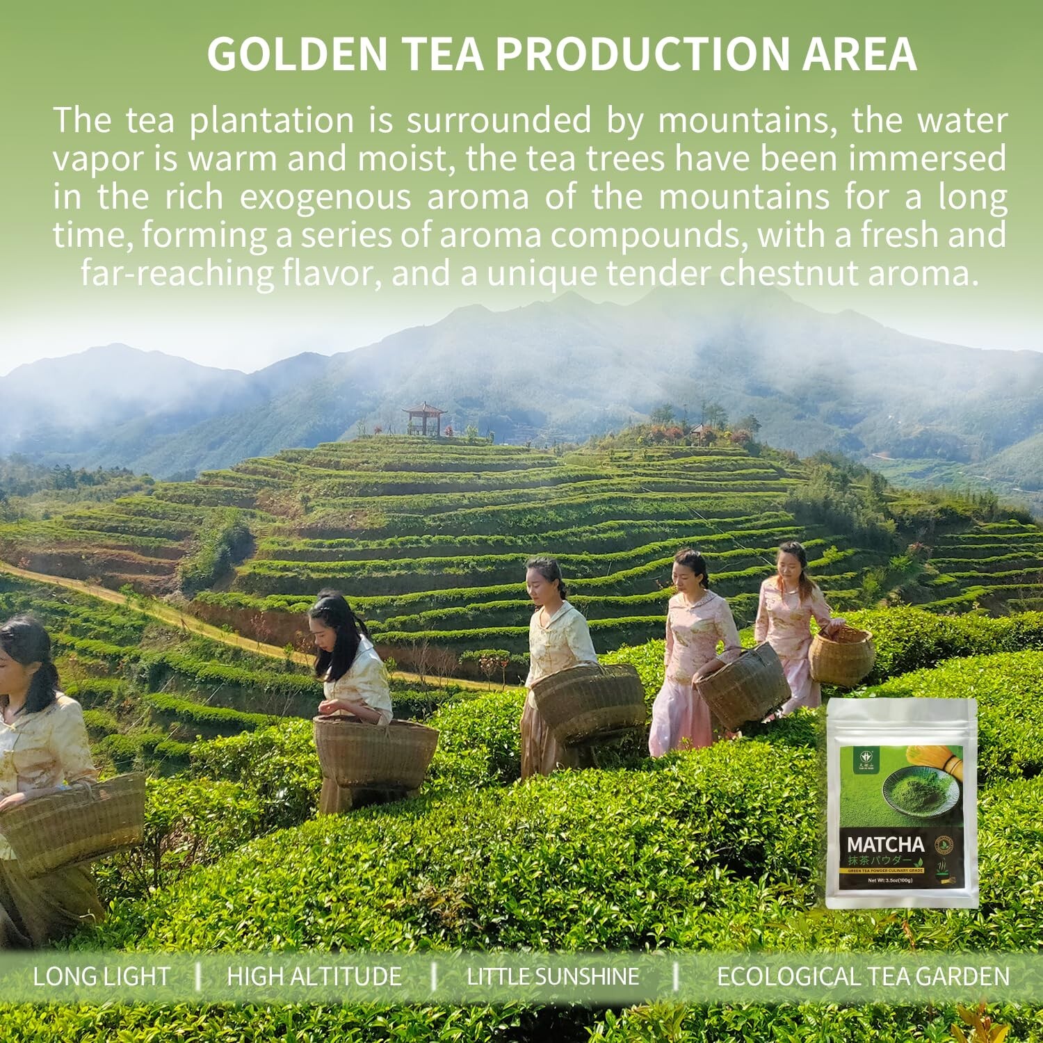Pure Matcha Powder Green Tea Powder for Latte, Cooking, Baking,100% Natural