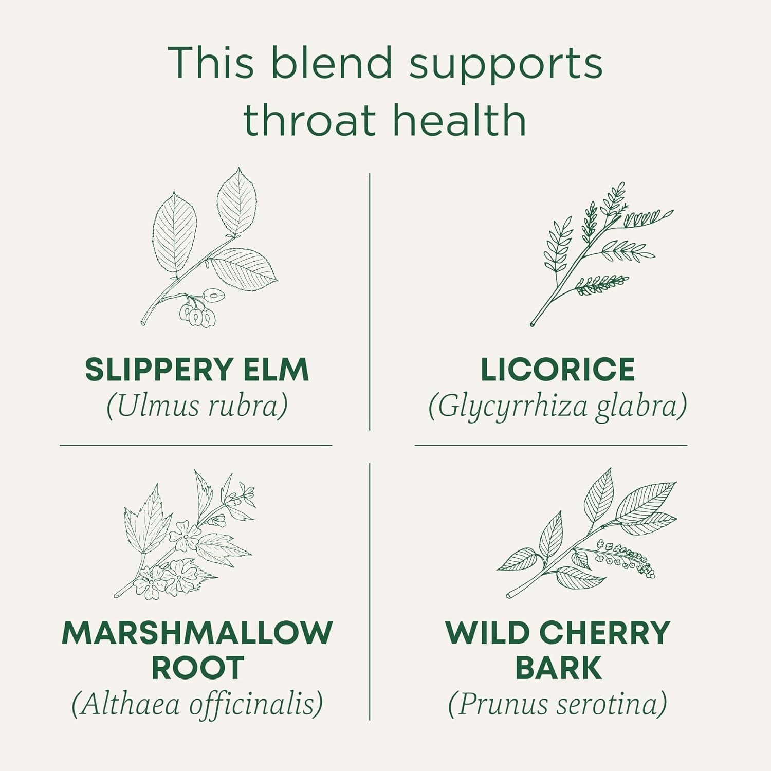 Organic Throat Coat Tea with Slippery Elm 16 Tea Bags
