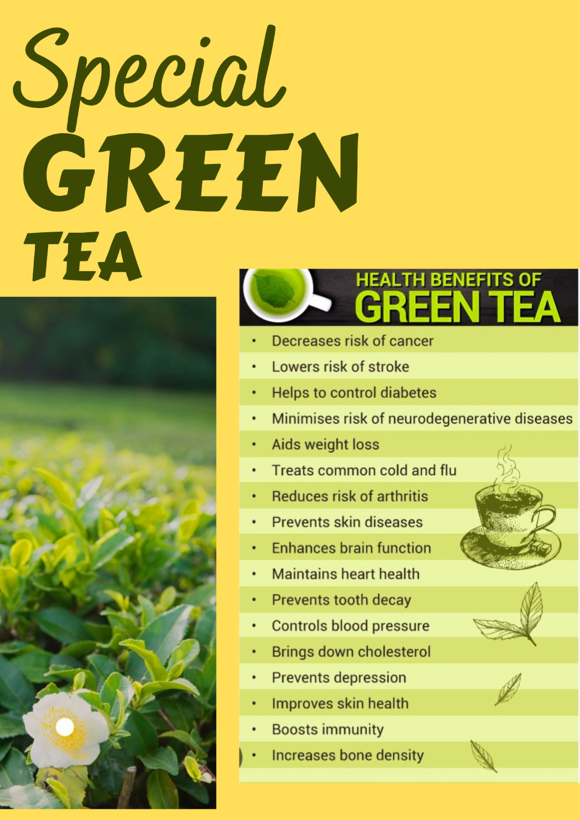 Pure Ceylon Finest Green Tea Weight Loss Natural Beverage, Free Shipping