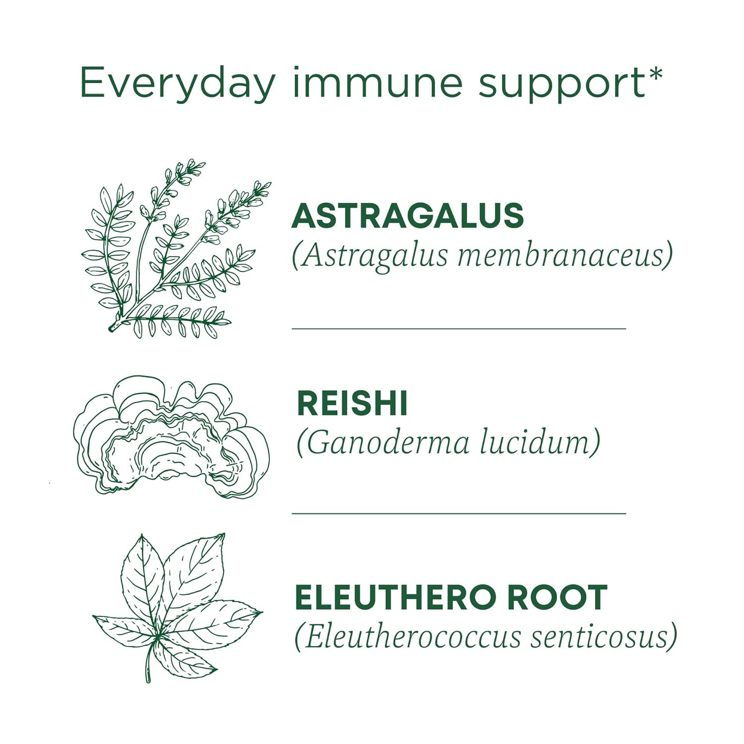 Organic, Stress Ease Immune with Adaptogens, Reishi Warming Spice – Immune Suppo