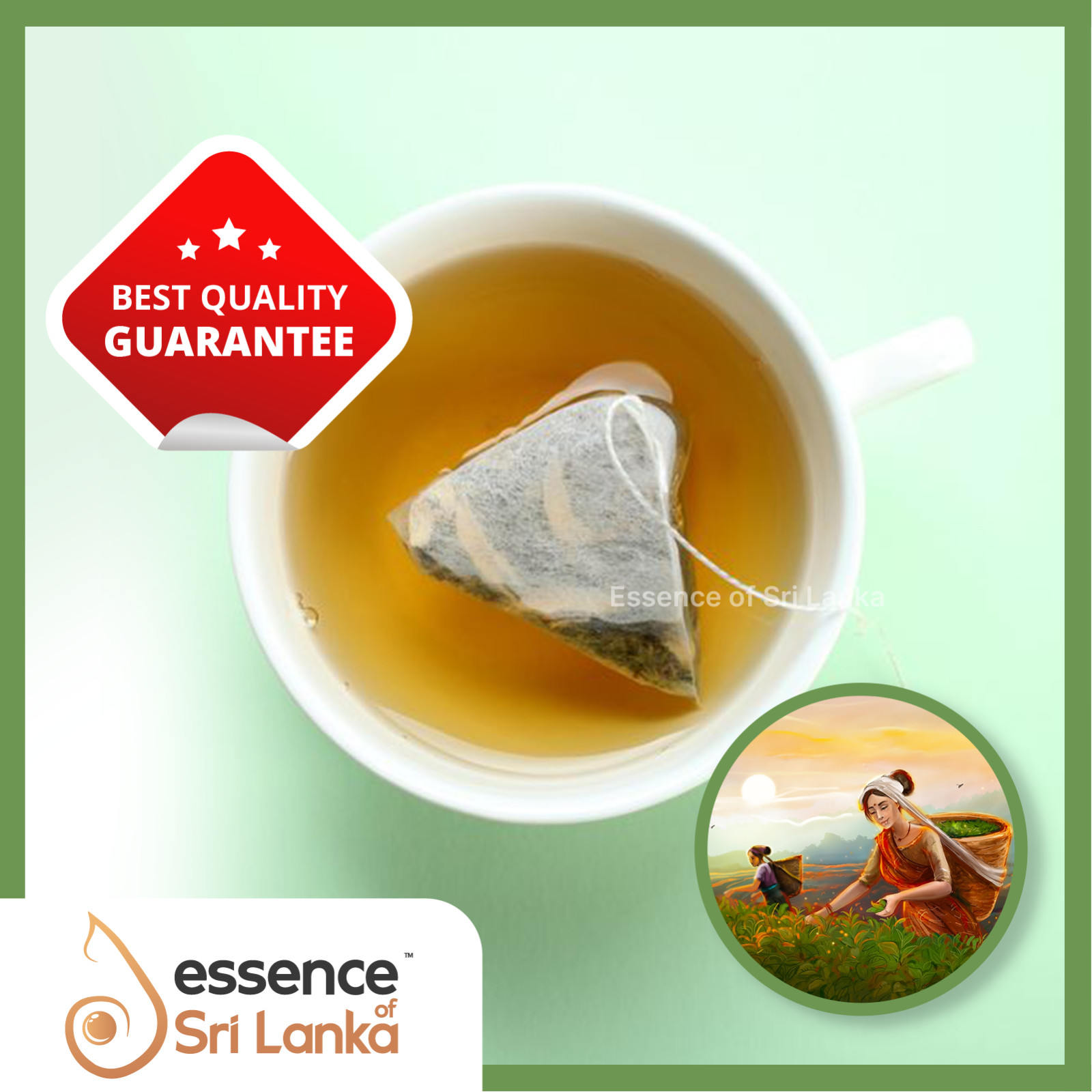 Ceylon Green Tea Herbal Natural Organic 20 Tea Bags Pure Sri Lankan Tea