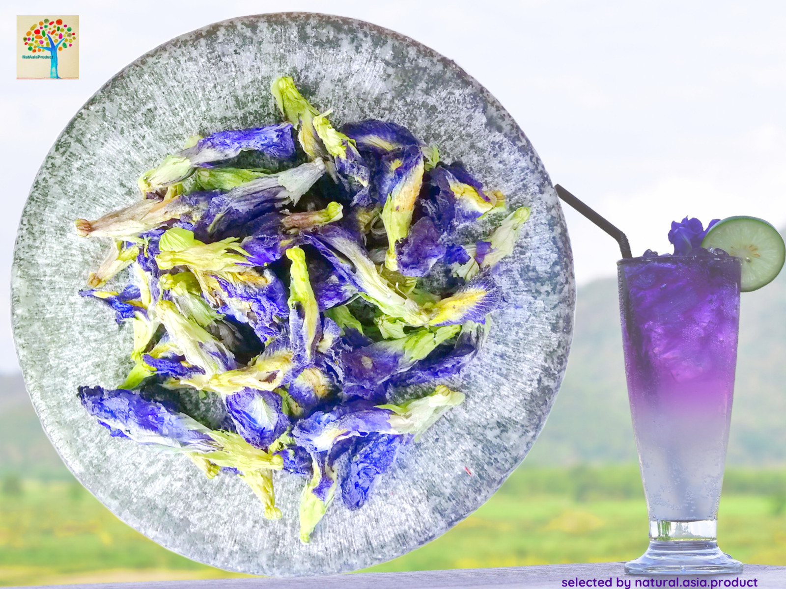 100 g_Organic Butterfly pea tea Clitoria ternatea Blue bellvine_no pesticide