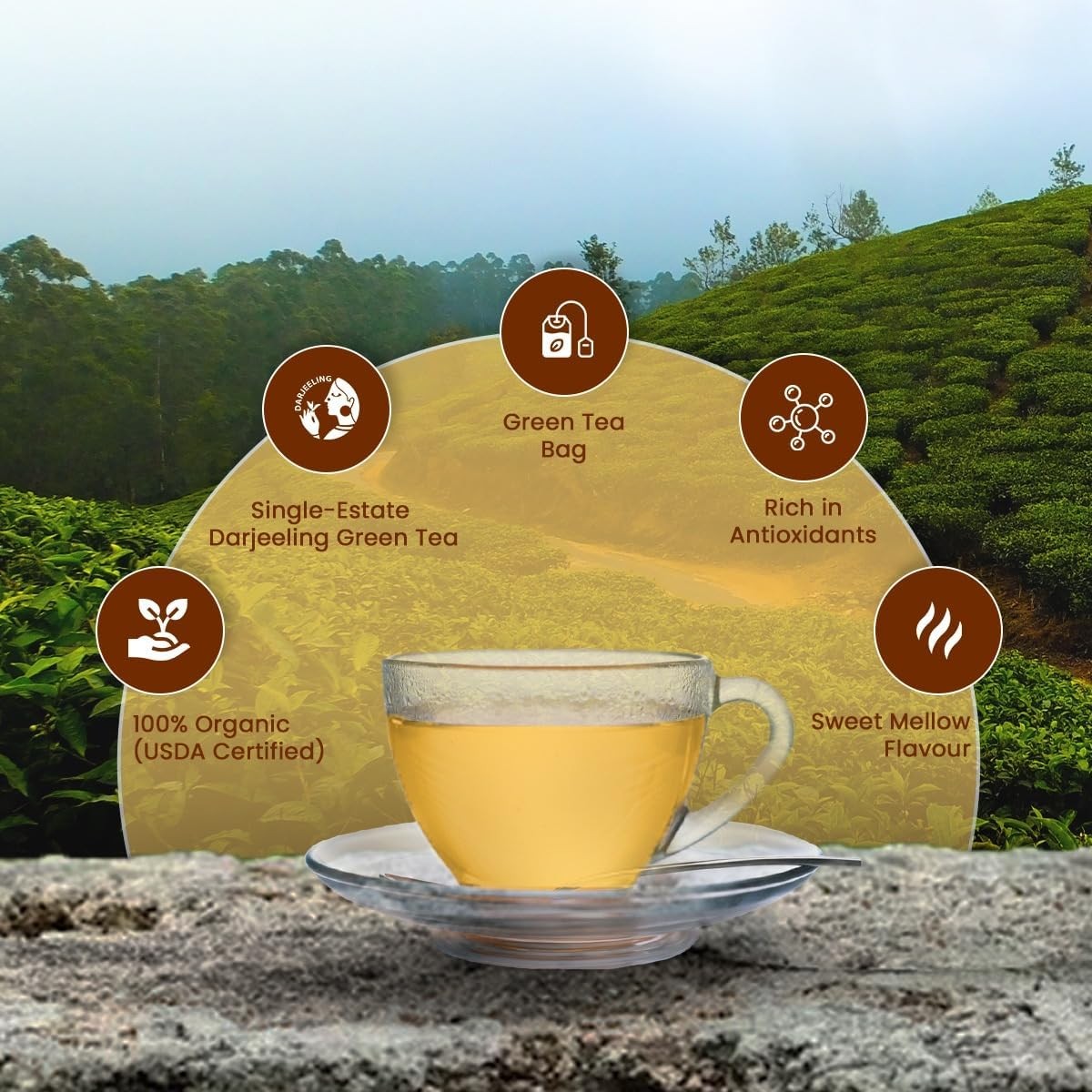 GOODRICKE Barnesbeg Organic Darjeeling Green Tea-25 Tea Bags Premium Loose Leave