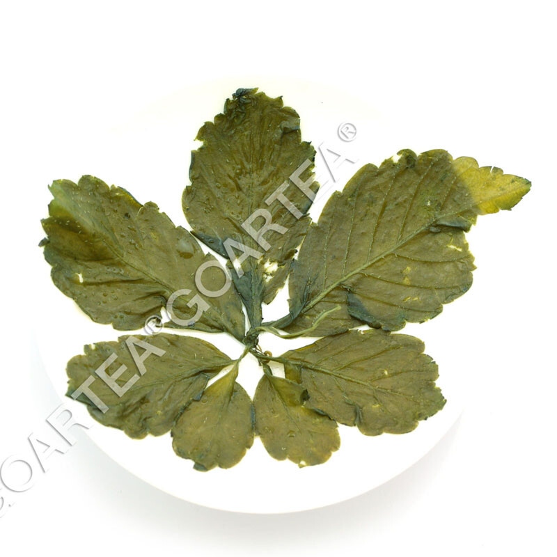 GOARTEA Premium Jiaogulan Gynostemma Pentaphyllum Tea Herbal Flower Green Loose