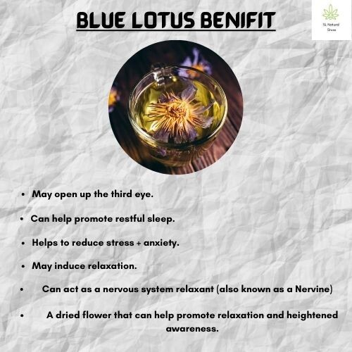 Dried Organic Blue Lotus Flower Petals Herbal drink Tea Bag Nymphaea Caerulea