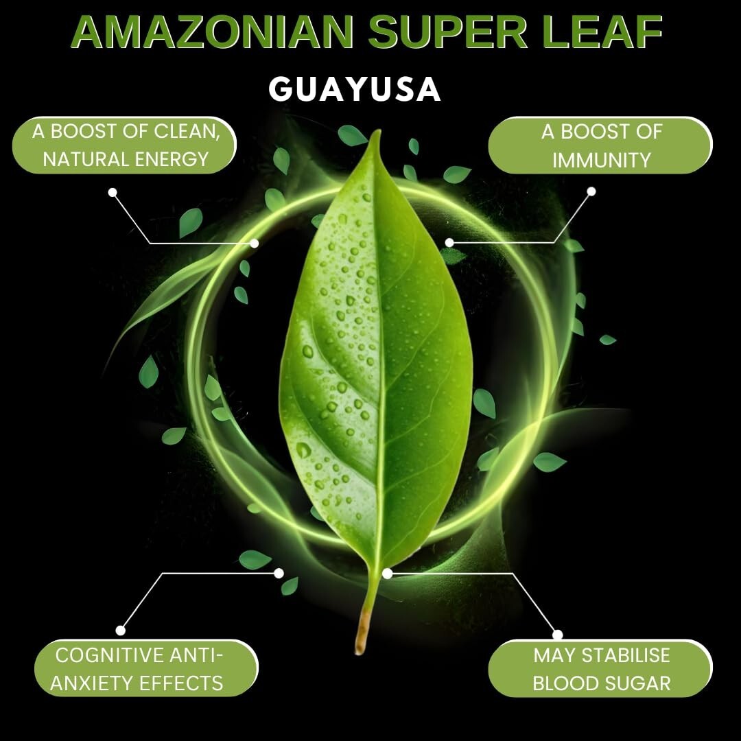 Amazonian Treasure, Organic Guayusa Tea Bags – 20 Count Box, Coffee Alternati