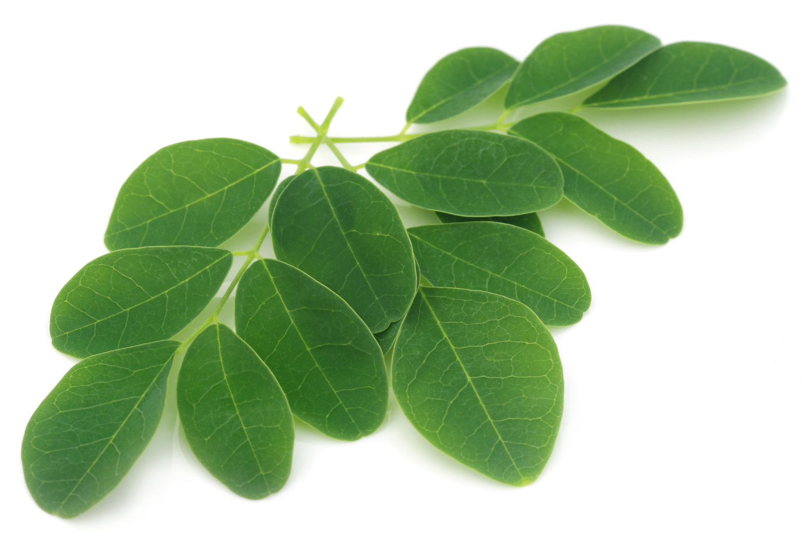 Moringa Peppermint Tea Bags 3-Pack (90) Caffeine-Free With Organic Moringa Leaf