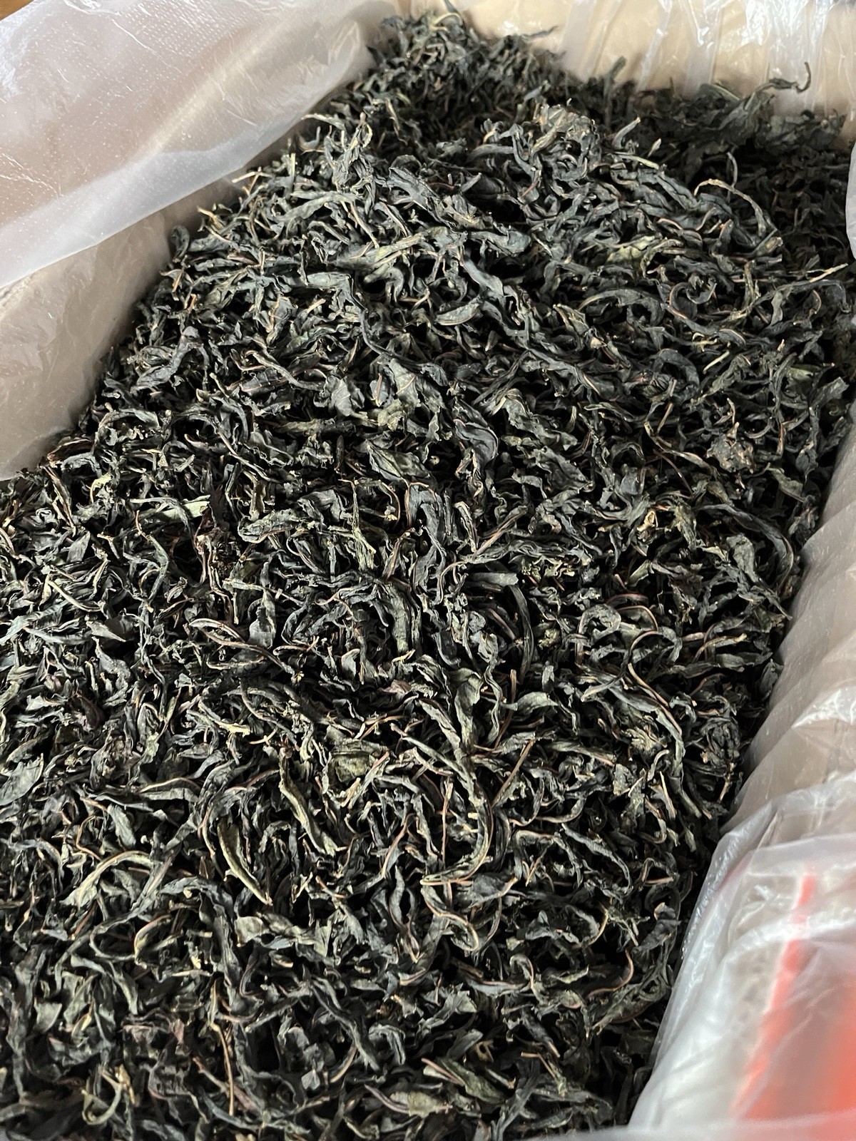Tea Chai Herbal Ivan Fireweed Detox Organic Fermented Medicinal 1 kg 35.27 oz