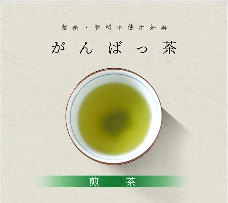 Ise tea Sencha tea bags 30 bags (15 bags x 2) Tea Pesticide-free Japanese tea Ma