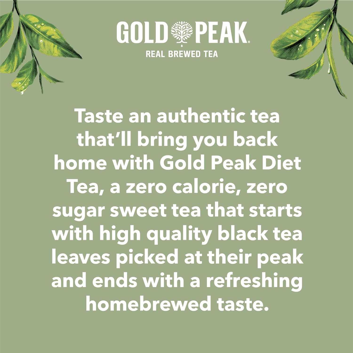 Tea, Diet Tea, 16.9 Fl Oz, 6 Pack