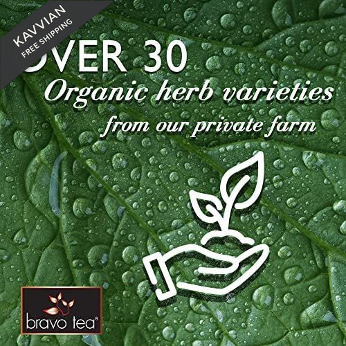 Bravo Tea Lion’s Mane Mushroom Herbal Caffeine Free, 20 tea bags, 1 Count