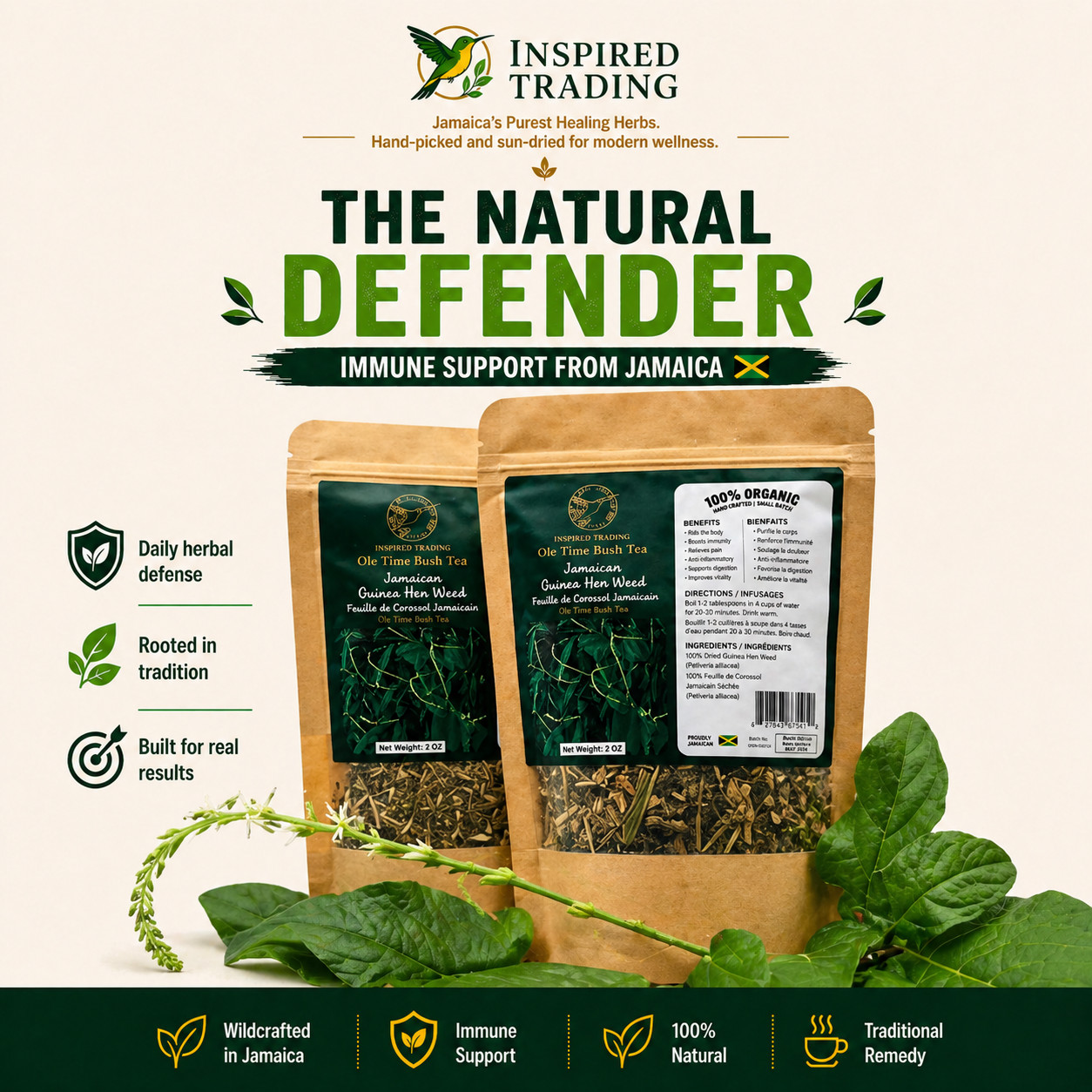 Jamaican Guinea Hen Weed Tea 2 Pack Anamu Leaves Handpicked Available in US & CA