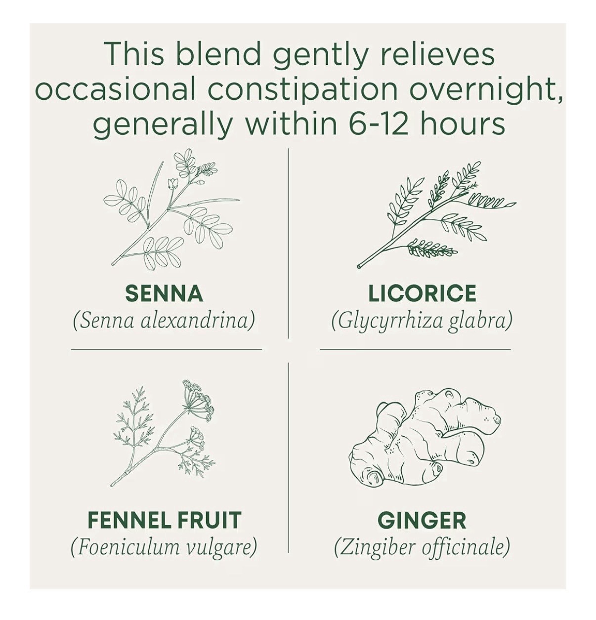 Traditional Medicinals Organic Smooth Move Herbal Tea Senna Licorice 16 Bags