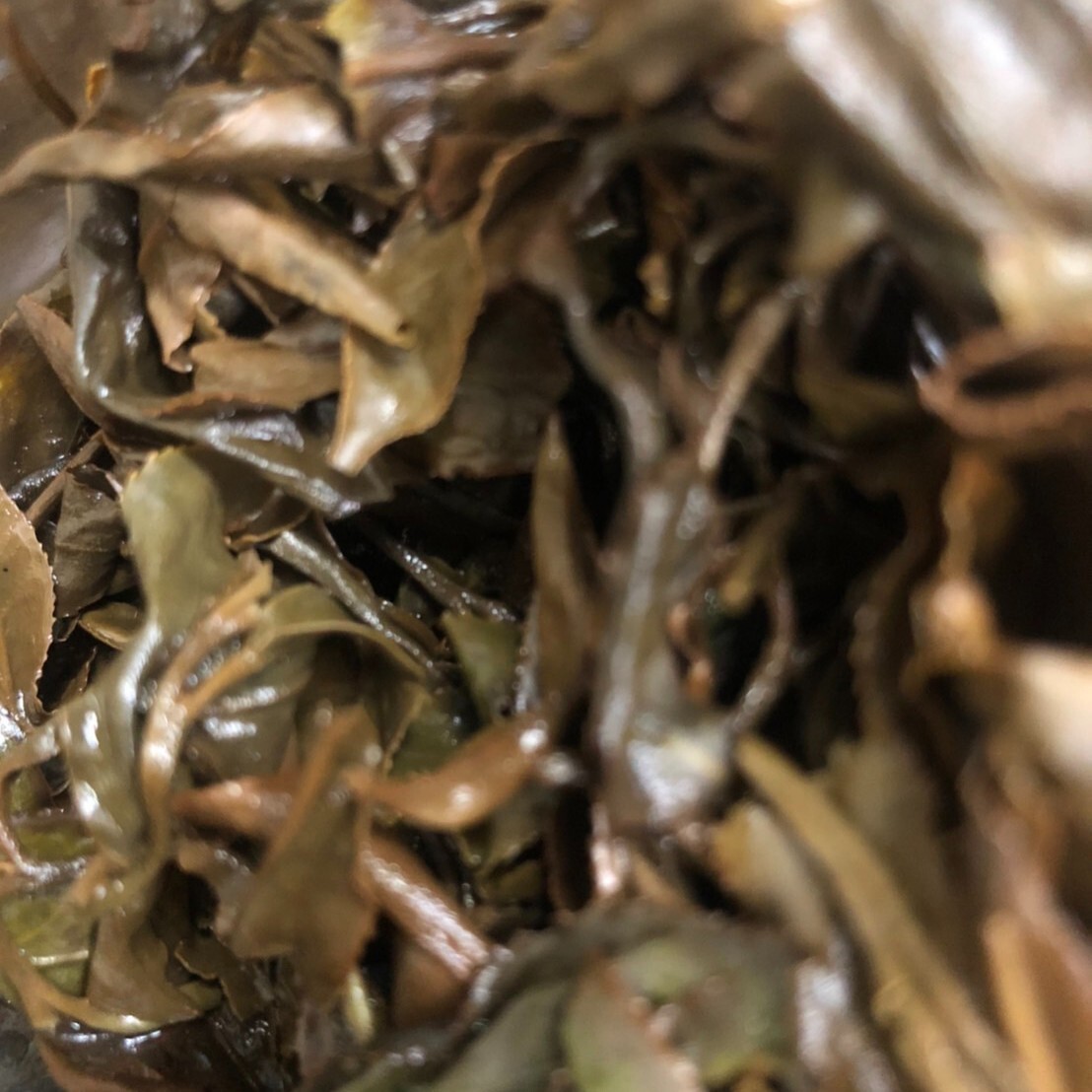 台灣特色茶 青心大冇-東方美人茶 75g*4