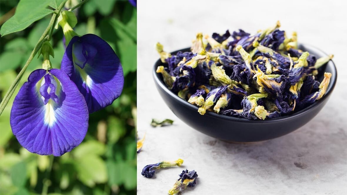 Premium Dried Blue Butterfly Pea Flowers 25g-  Herbal Tea, 100% Organic