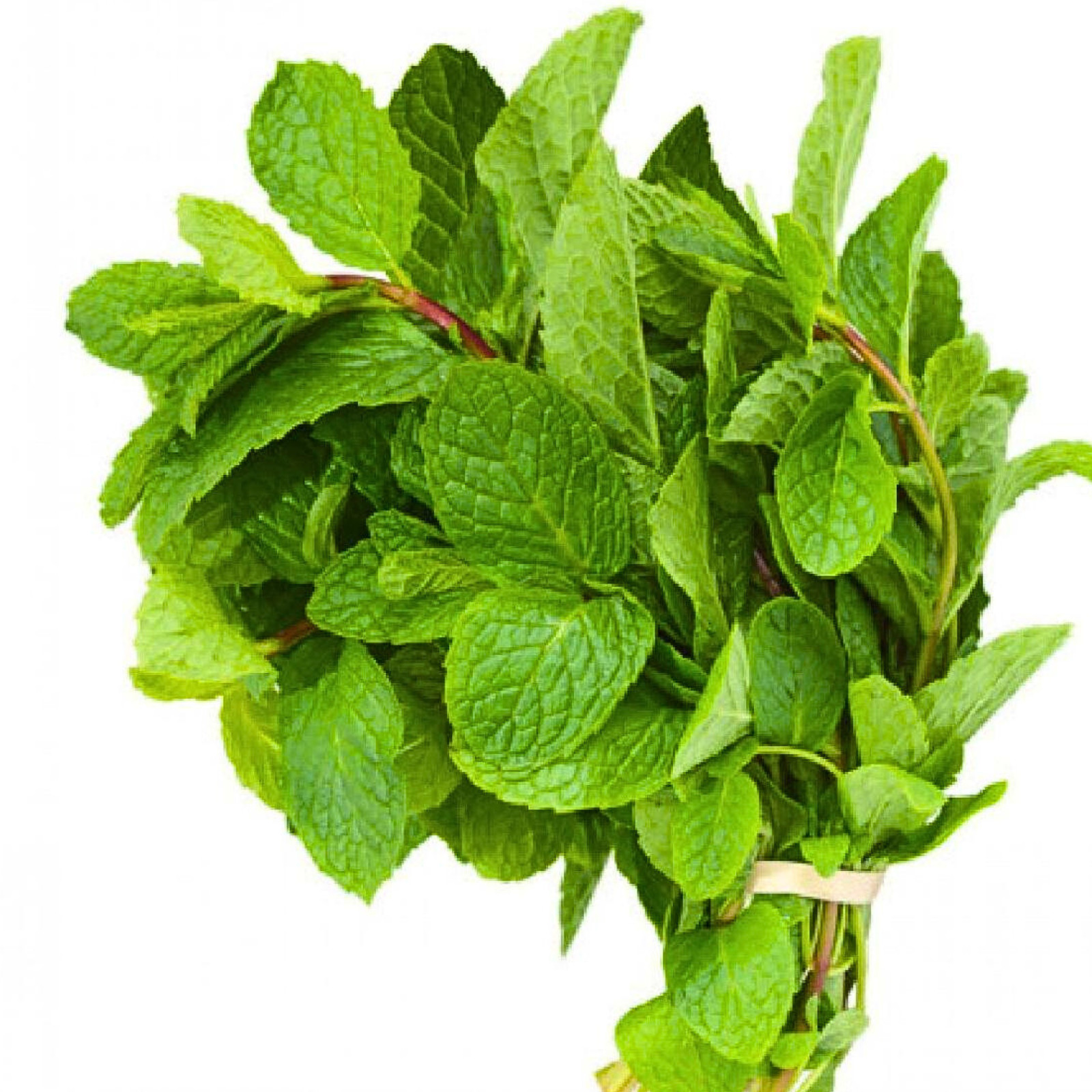Dried Mint Cut Leaves | 100% Natural Organic Pure Peppermint | Herb Cooking Tea
