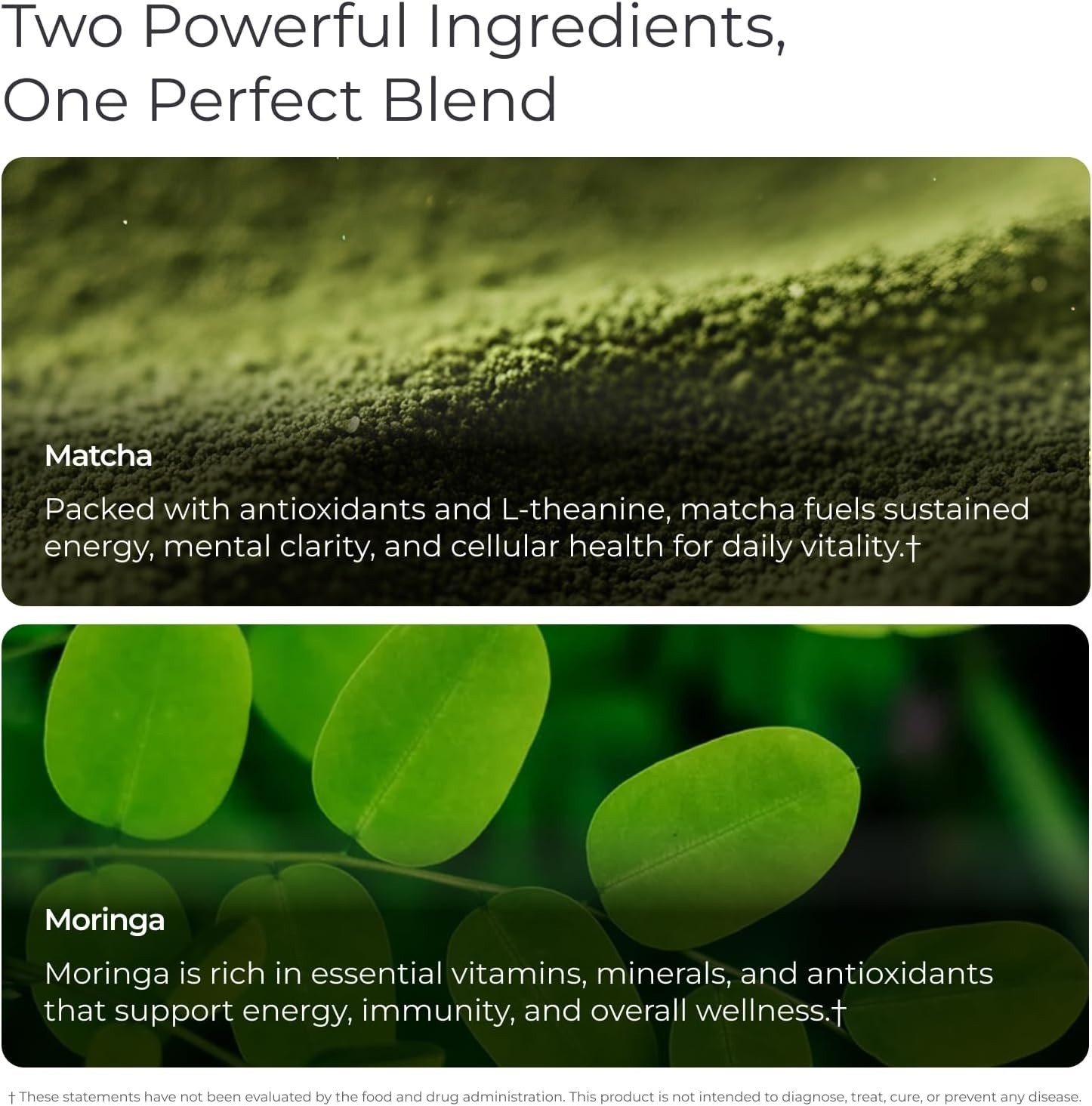 Livingood Daily Matcha + Moringa Powder, 30 Servings – 2in1 Matcha Powder and Mo
