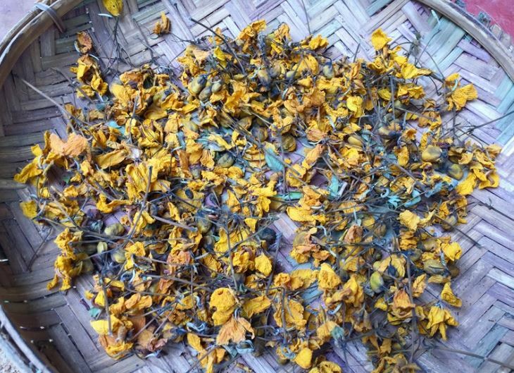 Ranawara Dried Flower Ayurvedic Herbal Natural Drink Cassia Auriculata Avarampoo