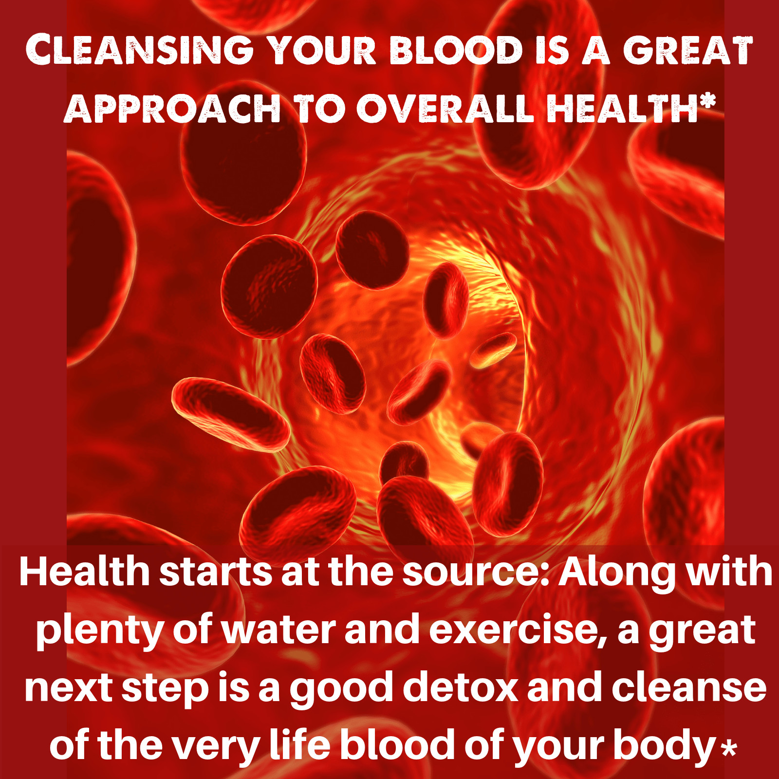 Organic Blood LifeBoost® Tea [28 Tea Bags] SpeedyVite®