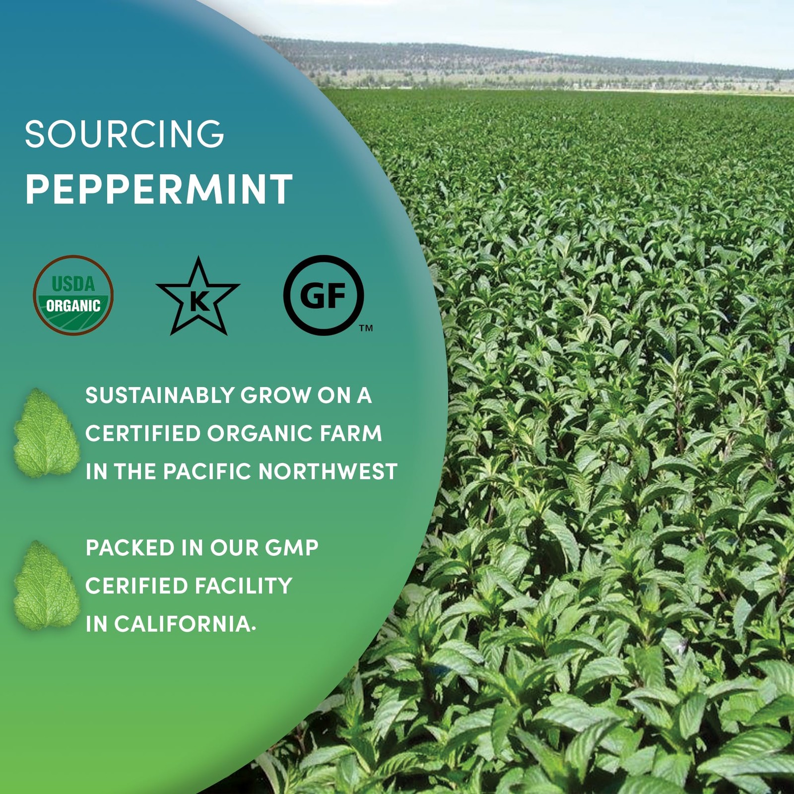 Organic Peppermint Loose Leaf Tea, 4 oz – Pacific Northwest Organic Cultivati…