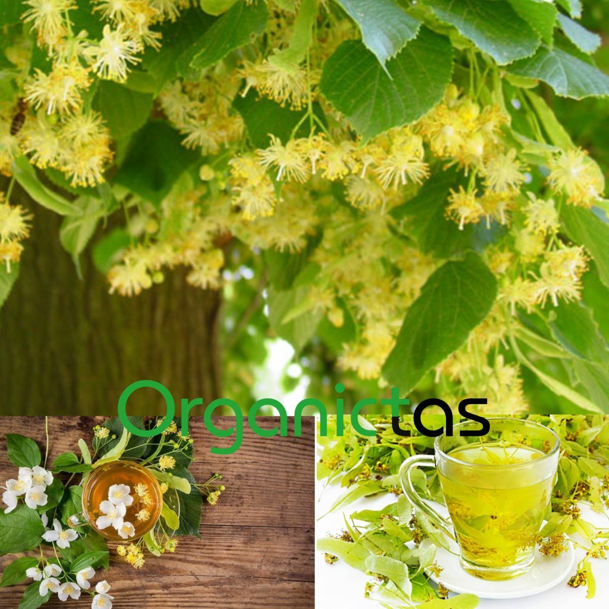 Organic LINDEN FLOWER Tea 2023 Wild Harvest Lime Tree Tilia Premium Quality 100g