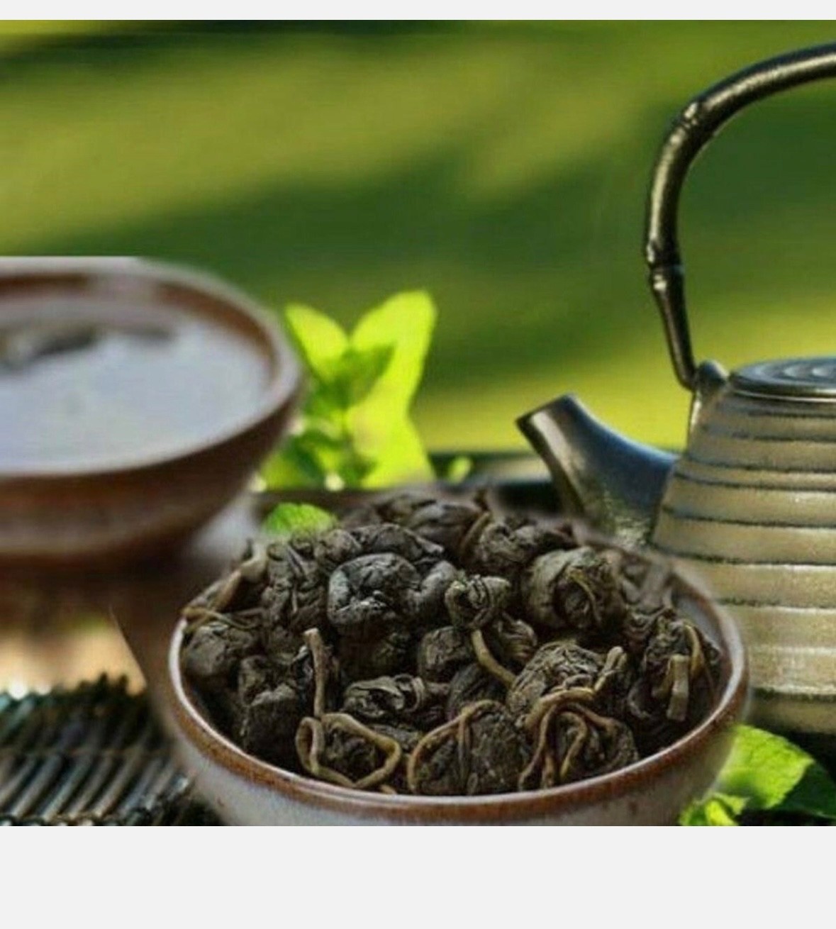Dried Mulberry Leaf Tea – 20 Grams – 20 Servings