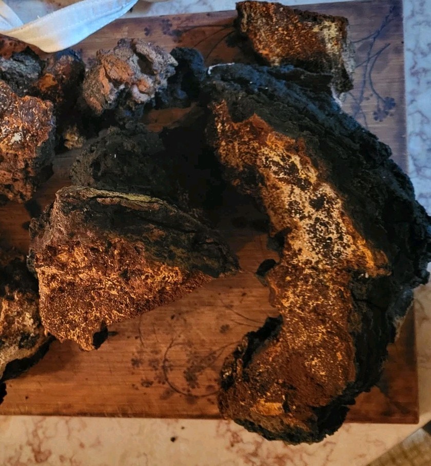 5 Oz CHAGA coarse ground Fresh. Delish.