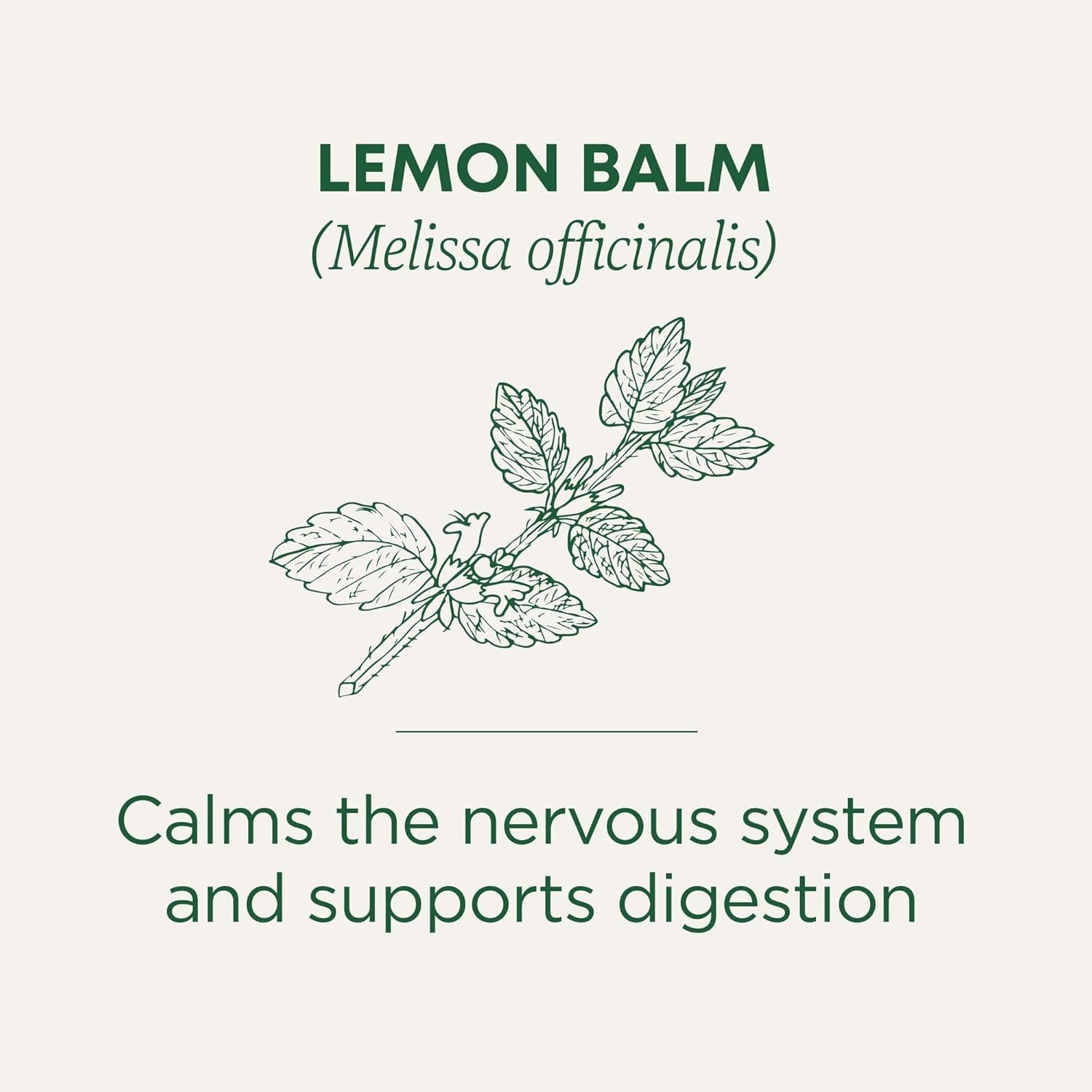 Calming Organic Lemon Balm Tea – 16 Bags for Easy Digestion & Stress Relief