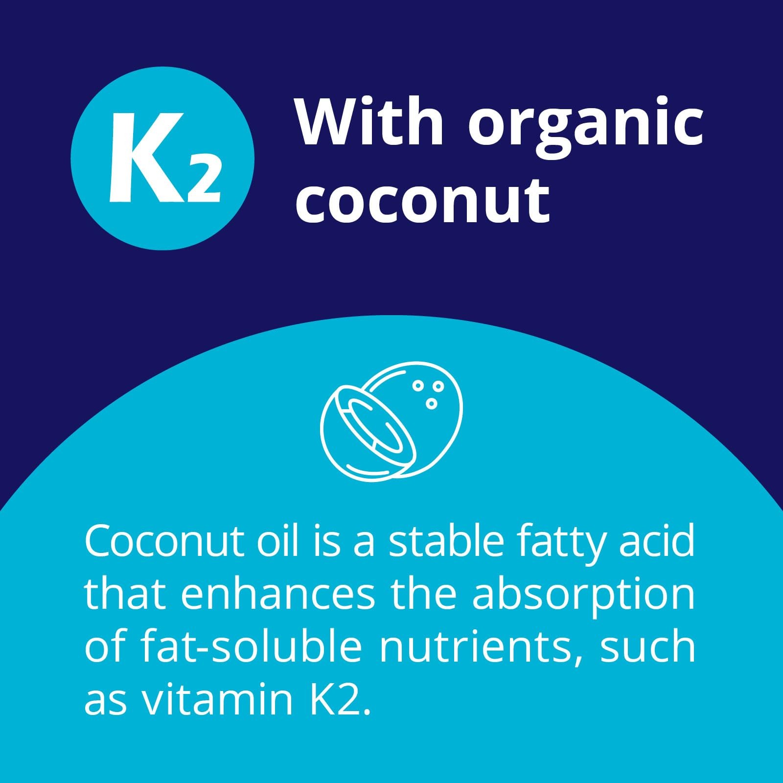 CanPrev K2 Drops, 15ml, 300 Servings, 30mcg MK-7 Vitamin 1 Count (Pack of 1)