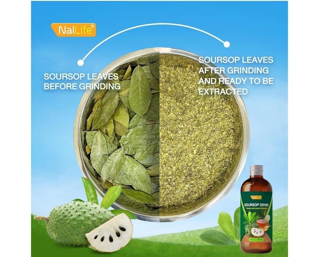 NalLife Soursop Leaves Extract Drink 15.21 oz (450 ml) Concentrated Soursop…