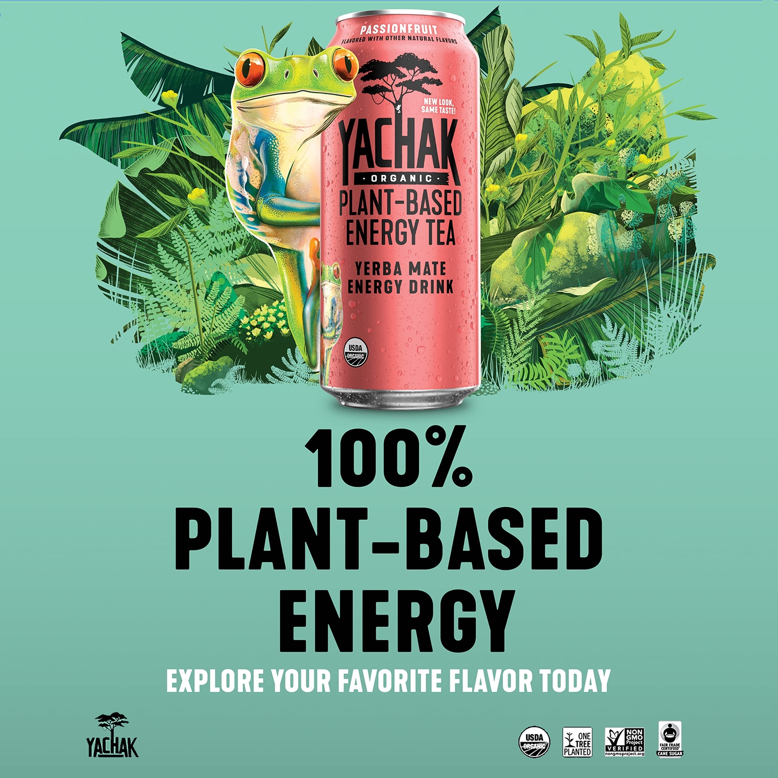YACHAK Organic Yerba Mate Passionfruit 16 Fl Oz Pack of 12 Cans