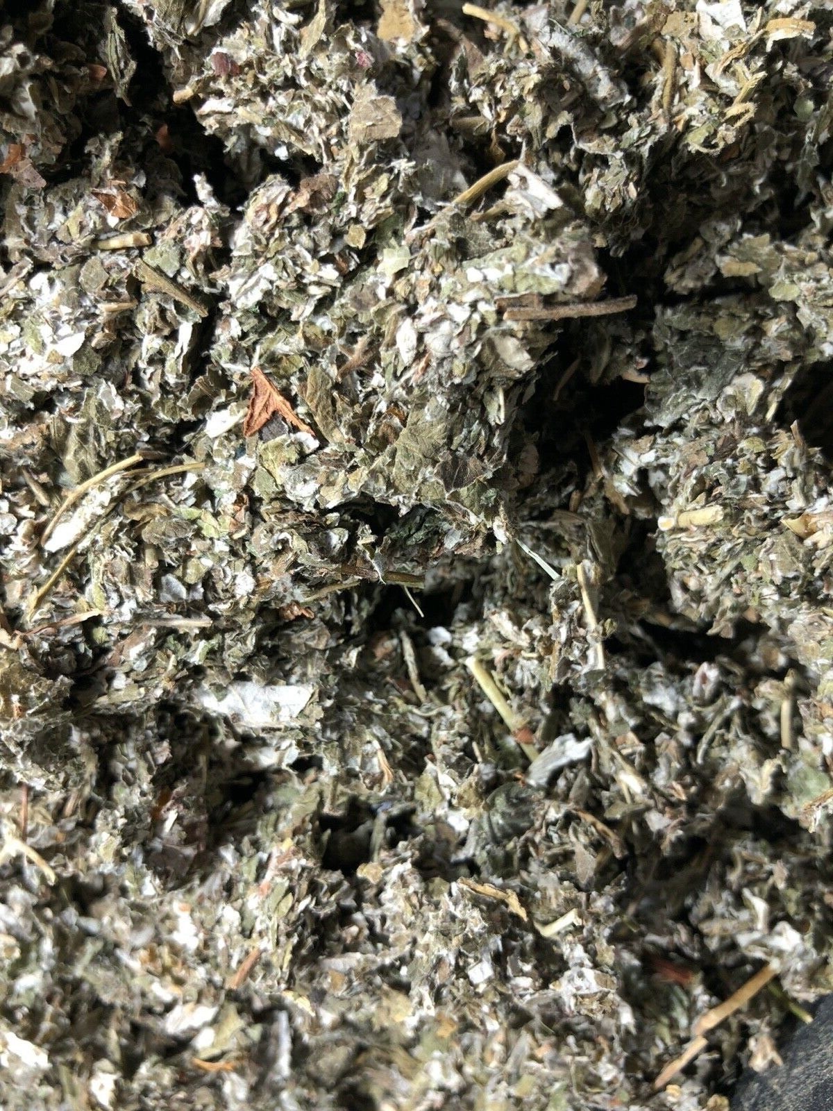 Quality Red RASPBERRY Bulk Leaf – Organic Natural Dried Herb -1/4 oz ounce