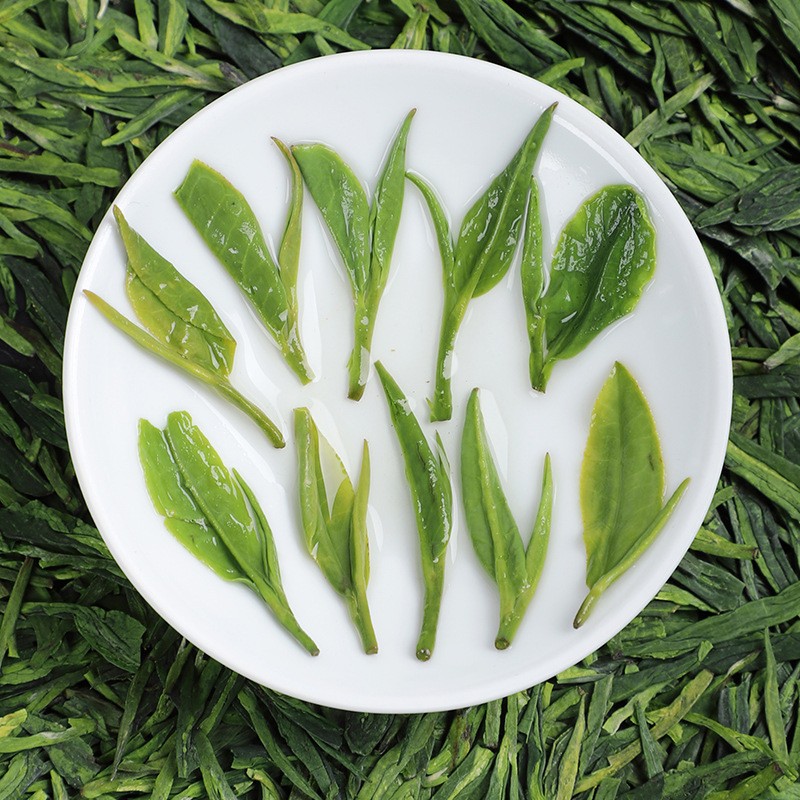 500g Authentic Hangzhou Longjing Tea Strong Aroma Premium Green Tea Canned Tea