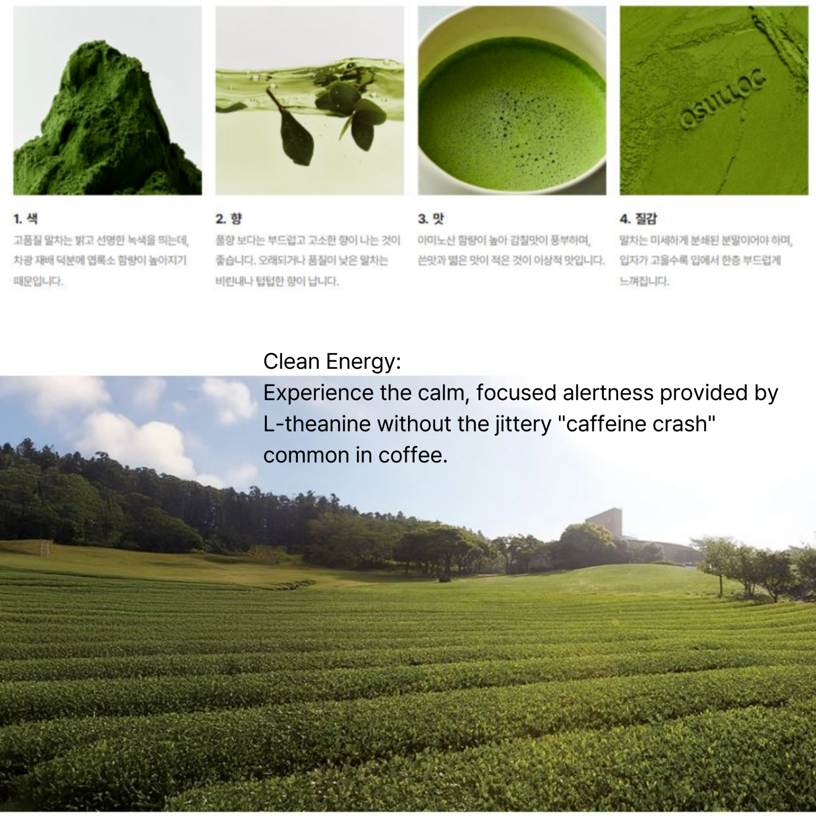 OSULLOC Jeju Matcha Milk Tea Premium Korean Latte 10 Sticks K-Food