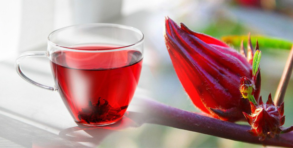 Natural Hibiscus Roselle Herbal Tea 50g Detox Scented Flower Tea