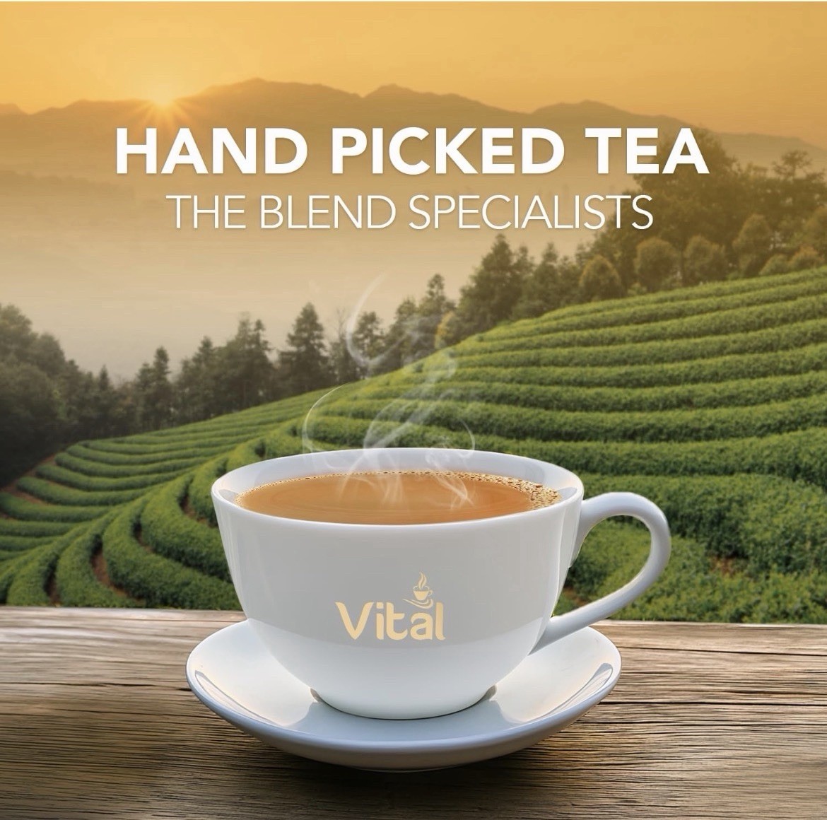 VITAL black tea – The Blend Specialist | Halal