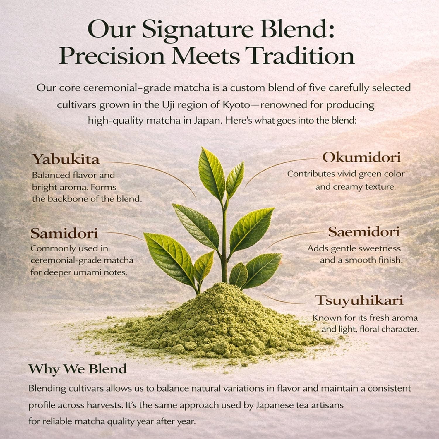 Ceremonial Blend – Authentic Japanese First Harvest – USDA & JAS Organic Cere…