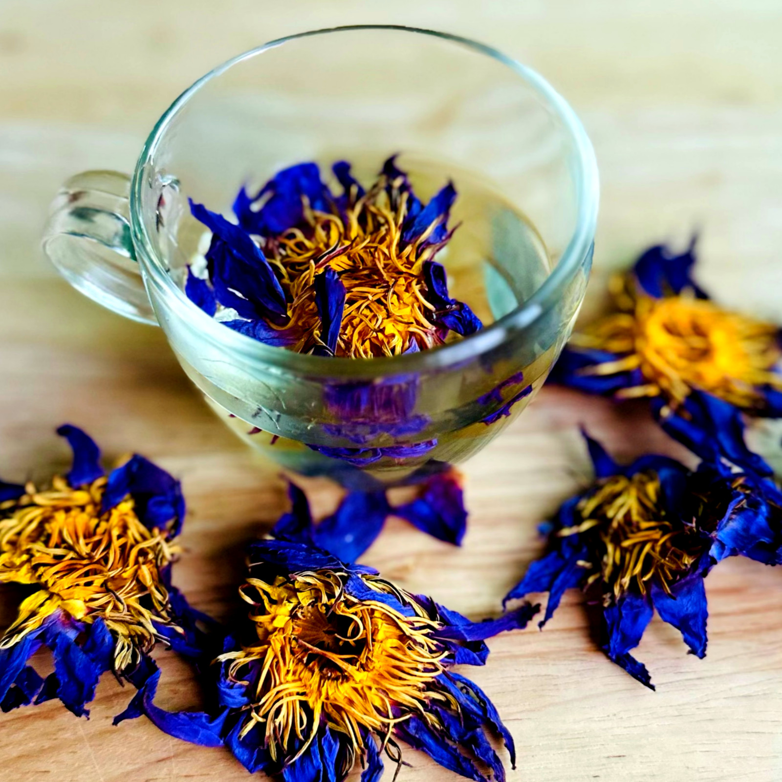Altruistik™ Organic Blue Lotus Flowers – Natural Calming Herbal Tea