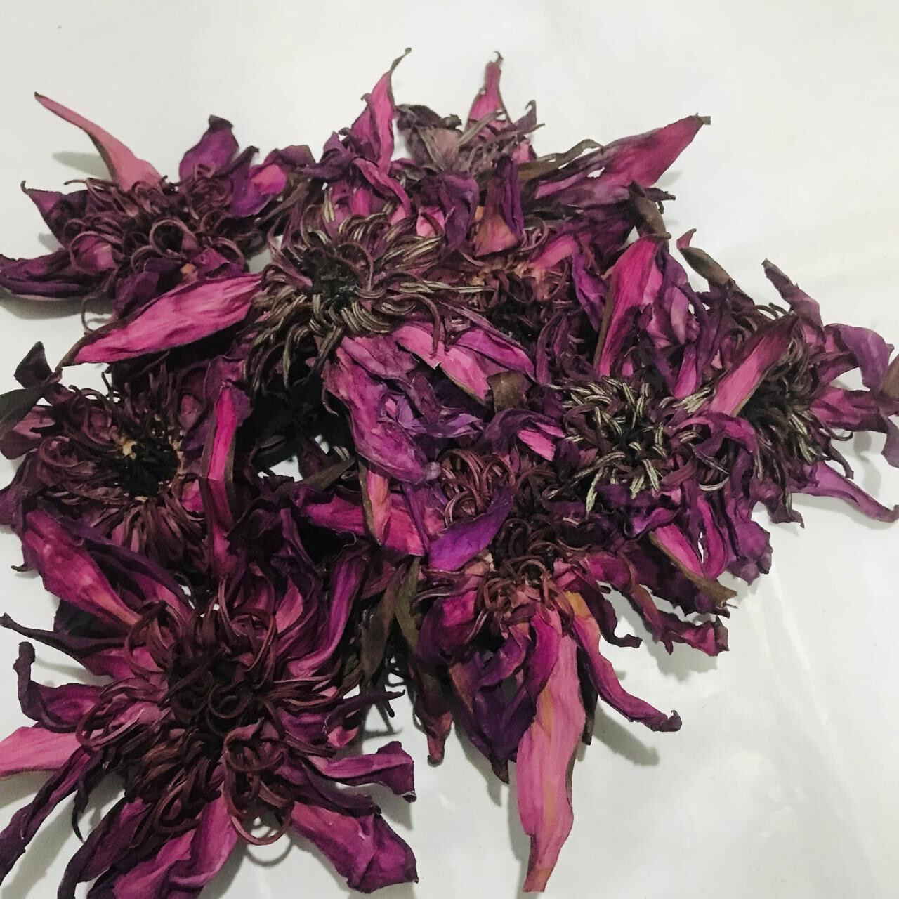 Dried Red Lotus Flower 1kg Nymphaea Rubra 100% Organic Natural Herbal Tea