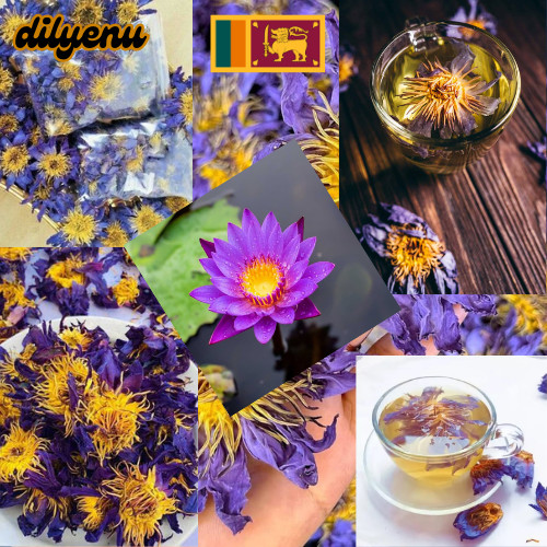 Blue Lotus Flower Dried Organic Flowers (Nymphaea Caerulea) Egyptian Tea