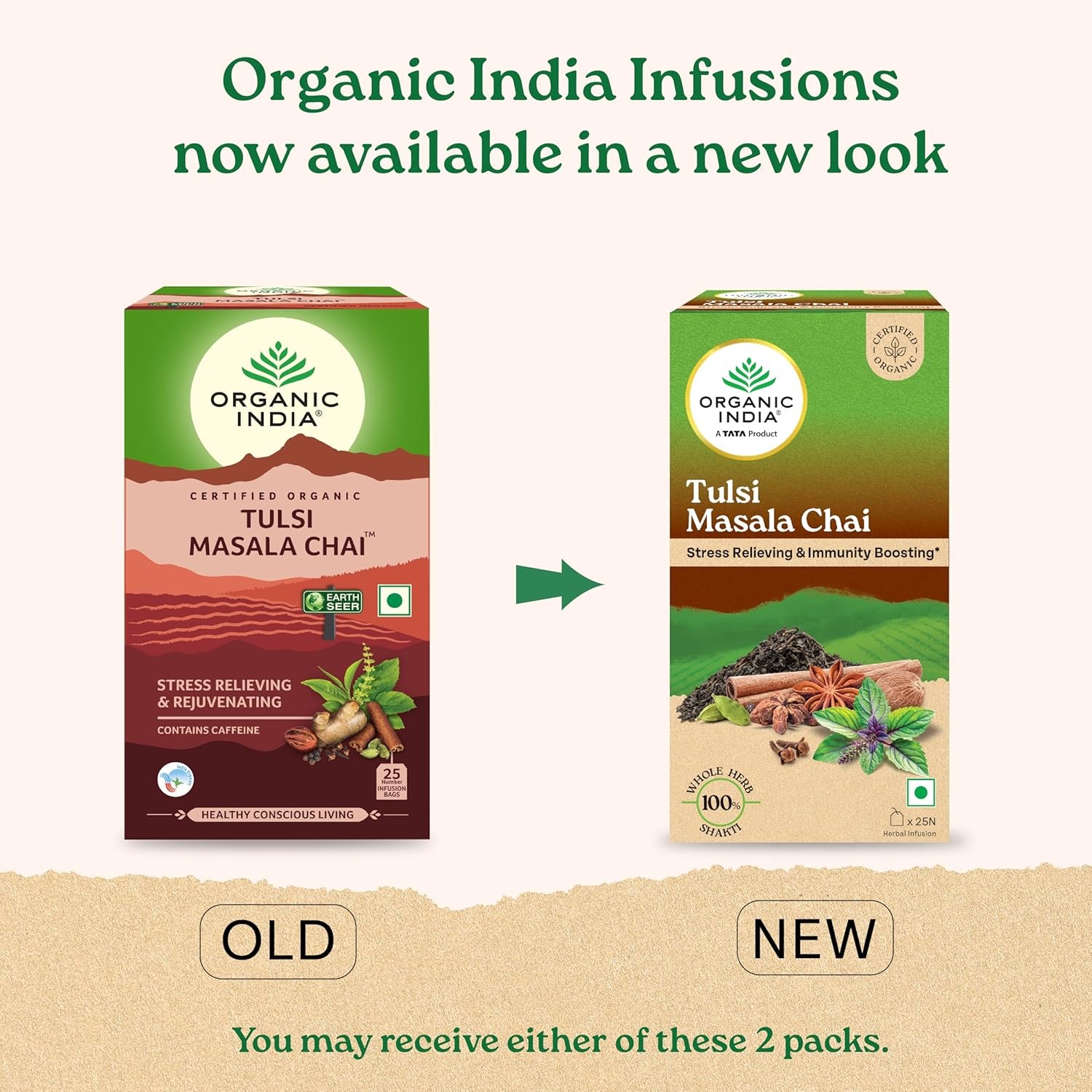 Organic India Tulsi Masala Chai, 25 Tea Bags | Refreshing And Relaxing